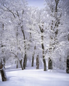 How to Utilize Dry Ice Safely in a Snowstorm this Winter