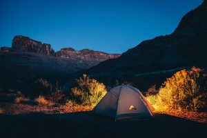 Survival with Dry Ice