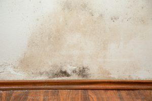 How Dry Ice Blasting Helps with Mold Maintenance