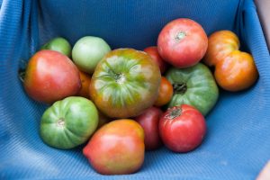 How to Preserve Produce with Dry Ice