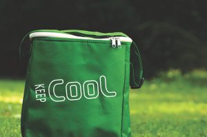 green cooler bag on grass